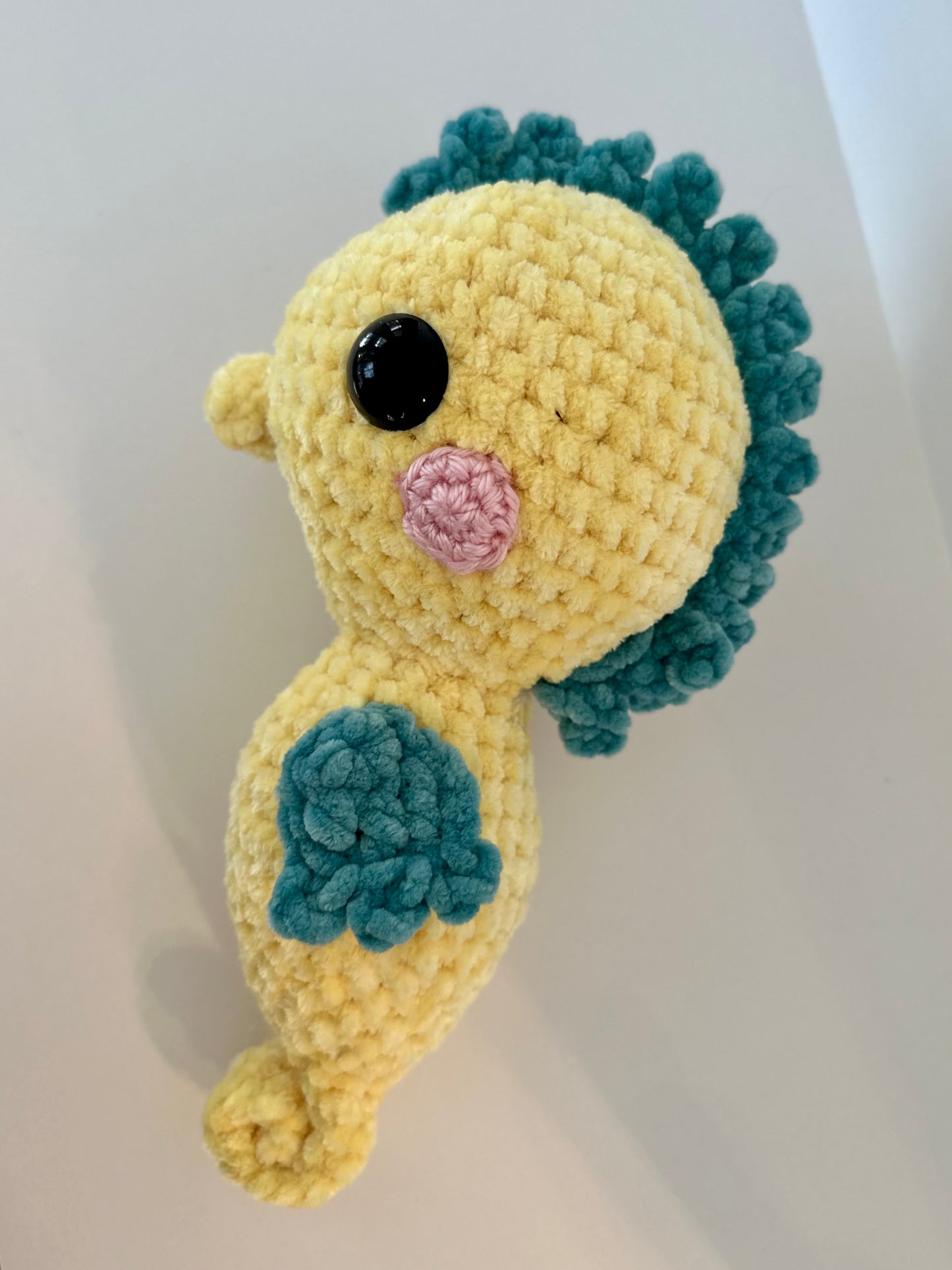 Sawyer the Seahorse
