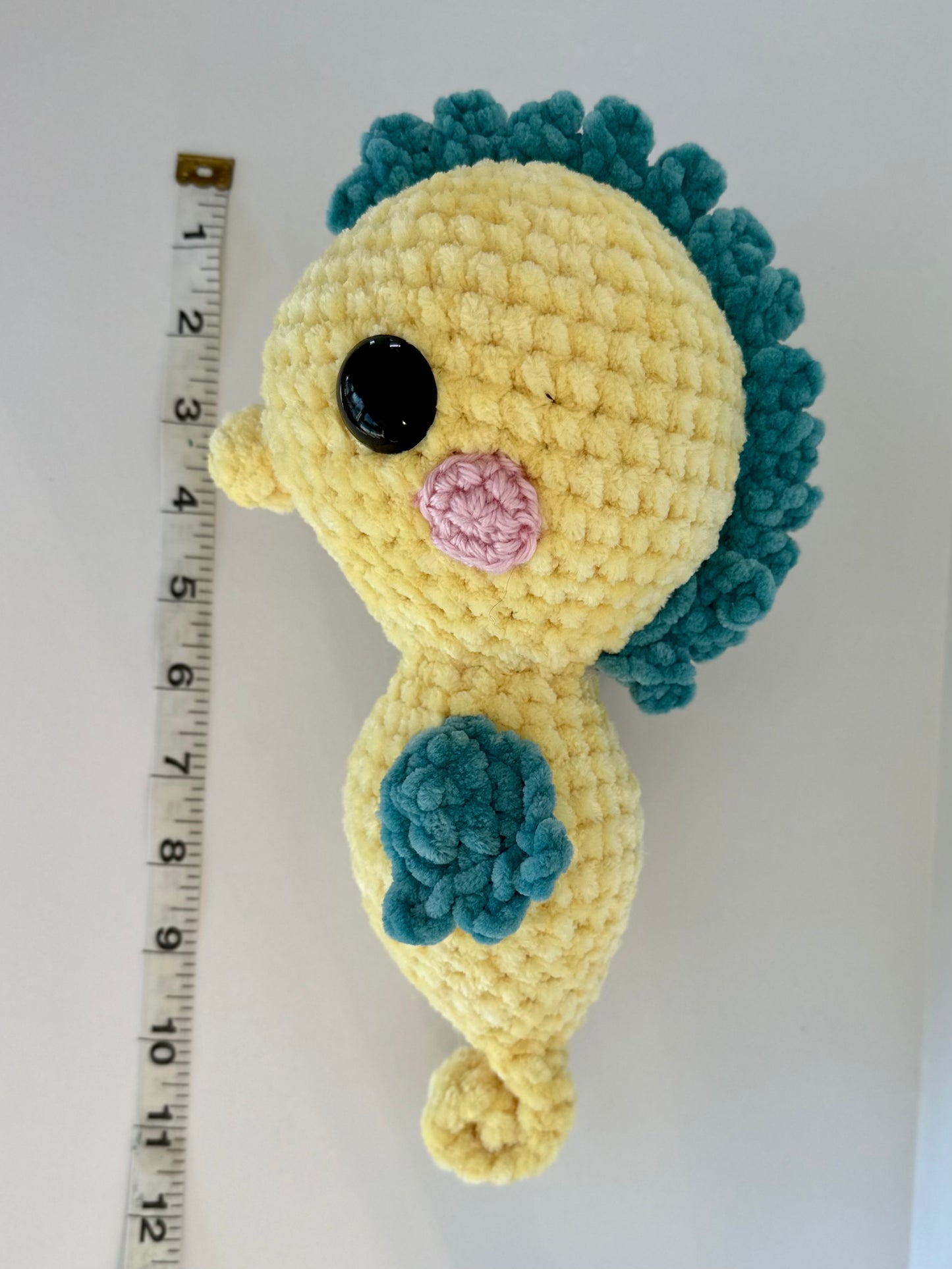 Sawyer the Seahorse